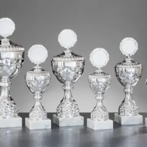 Silberpokal Serie 58750 in 6 Größen