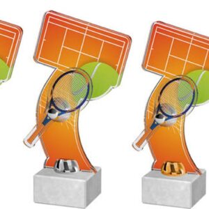 Acryl-Pokal Schläger vor Spielfeld BA 98:17 in 3 Größen